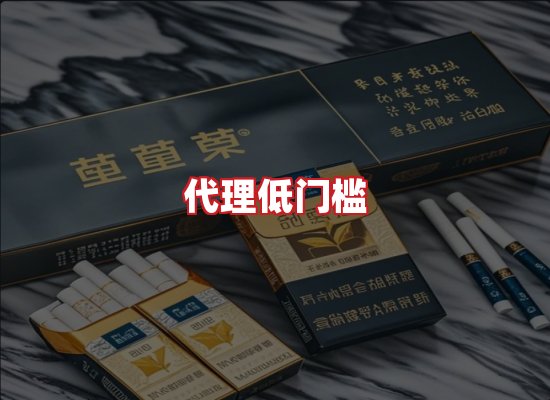 专业团队